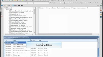 Executing SOQL Queries