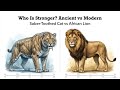 Saber-Toothed Cat vs African Lion | Ancient vs Modern Strength Comparison | Who is stronger?