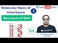 Molecular Basis of Inheritance - L 1 | Class 12 | Unacademy NEET | LIVE DAILY | Biology | Sachin Sir