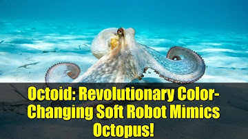 Octoid: Revolutionary Color-Changing Soft Robot Mimics Octopus!