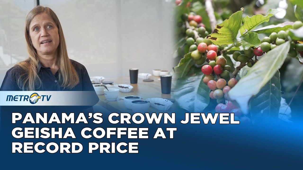 Panama Geisha Coffee Breaks Global Auction Record