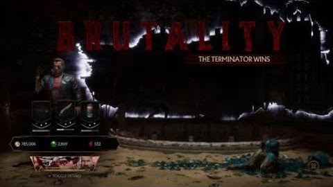 Mortal Kombat 11 Terminator "Future Assassin" Brutality