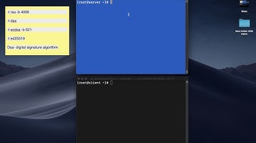 Configure SSH Password less Login Authentication using SSH keygen on Linux | ssh passwordless auth