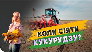 СТРОКИ ПОСІВУ КУКУРУДЗИ🌽 #ТопАгрополів