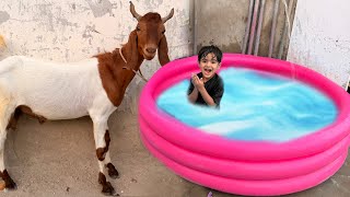 Last Swimming Party With My Pet 💦 | First Day Eid Ki Qurbani 😍|