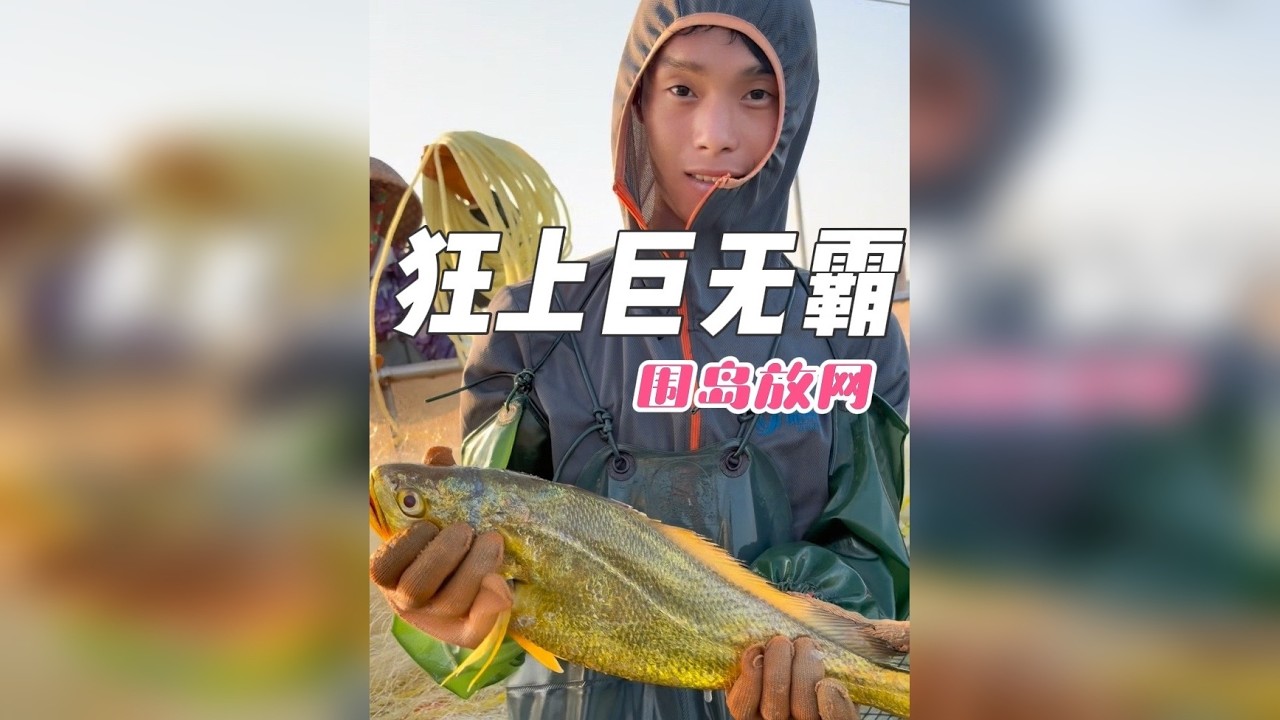你还敢相信吗、无人岛抓的黄花鱼都是按桶算的