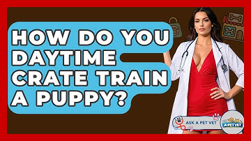 How Do You Daytime Crate Train A Puppy? - Ask A Pet Vet