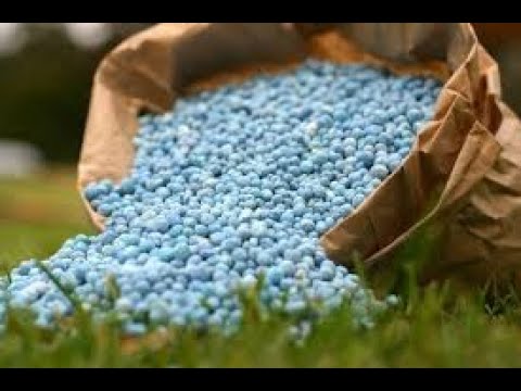 Vídeo: Uso De Fertilizantes De Potássio (parte 3)