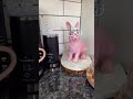 Decorando mi cocina 💐🐇EASTER 2025💐🐇