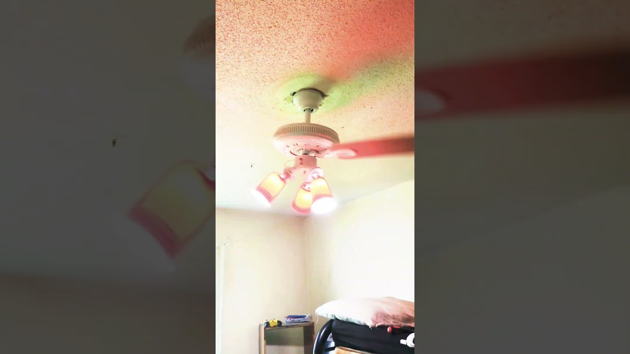 CRAZIEST CEILING FAN COMPILATION! 