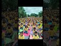 ALH Yoga Activities 1
