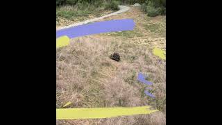  Steep Slope Hillside Mowing & Land Clearing in Falmouth KY | Lakeside Levee