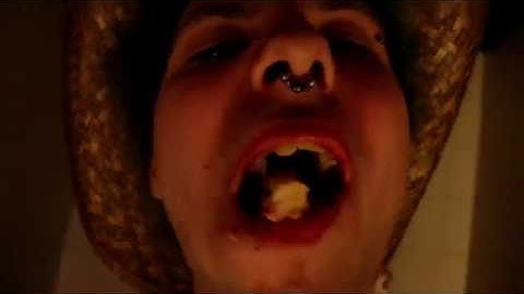 The Kreutzer Sonata- "Fast Times" Music Video