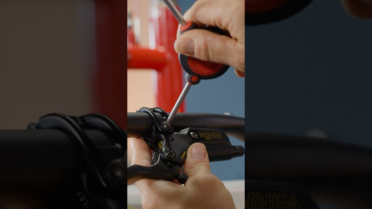 You've Never Seen a Tallboy Like This | Limited Edition Santa Cruz