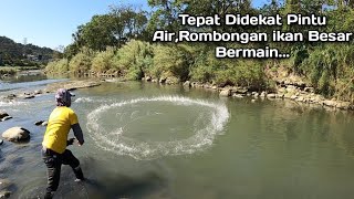 MENGEJUTKAN😱😱!! Jala ikan didekat pintu air tepat ikan nila monster berkumpul | net fishing