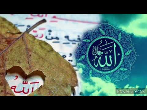 Ferudun Eroglu-Hu Allah ilahisi Orijinal klip HD