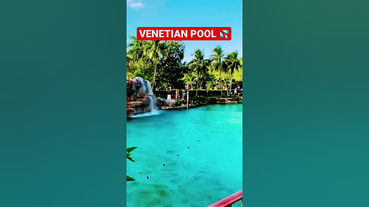 BEST Things To Do In MIAMI!😍 Live Your DREAM LIFE NOW!