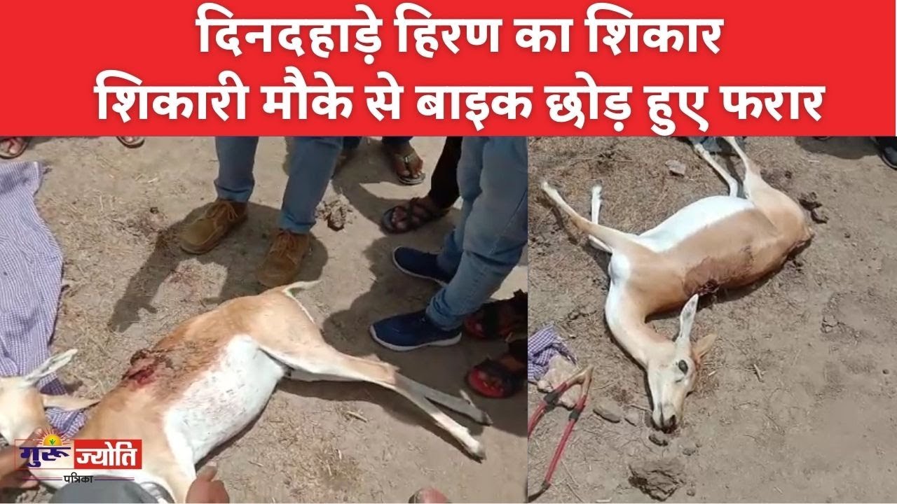 Jalore Hunters hunted deer in Shankhawali of Ahor hunters fled leaving the bike from the spot