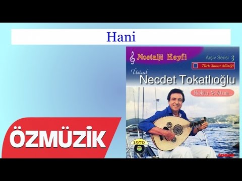 Hani - Necdet Tokatlıoğlu (Official Video)