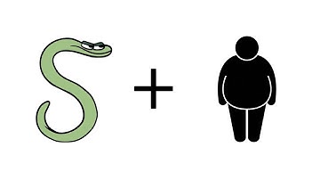 Alphabet Lore But They VS Fat Transform _ Alphabet Lore But Everyone Is Fat Transform