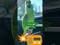 Parrot being the noisiest passenger #parrottalking #talkingparot #parrot