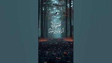 #تلاوة_خاشعة #تلاوة_هادئة #إسلام_صبحي