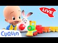 🔴 LIVE 🔴 Learn colors, numbers and shapes with Cuquín | Educational videos for kids