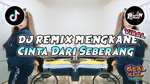 DJ REMIX CINTA DARI SEBERANG - DJ REMIX VIRAL TIKTOK TERBARU