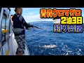 クロマグロ釣り合宿!!2泊3日 【1日目その3】【キャスティング】