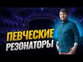 Певческие резонаторы. Резонанс: Зачем он нужен в пении?