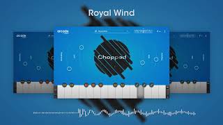 Arcade by Output - Introducing Chopped