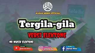 Lagu dangdut versi electone || tergila gila / NR musik Elektone