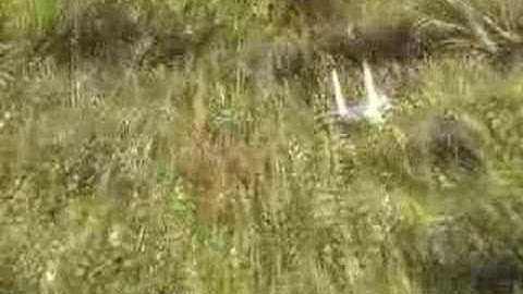 f-15 depron scratch built belly landing