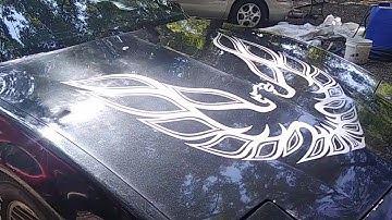 91 firebird 3.1 v6 After polished