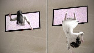 Sadako Ceiling TV Found Footage