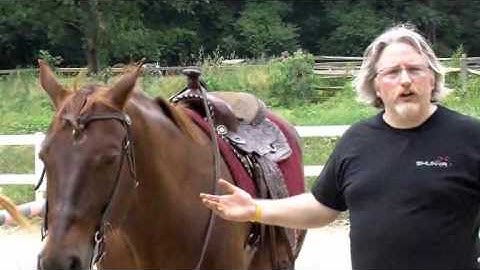 Mark Tomlinson video at Triple Crown Community Night