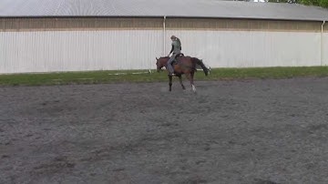 EaZy - HorseZ training : reining: spin training