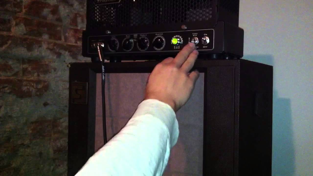 Traynor Iron Horse DH40H Amp