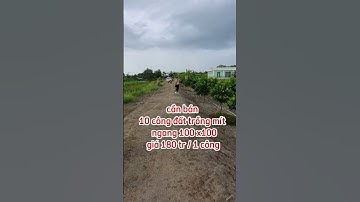 Bán 10 công đất trồng mít ở xã thuận bình,thạnh hóa,long an.Sđt 0979920397