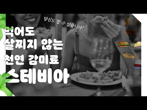 #37 천연 단맛 스테비아, 과연 믿고 먹어도 될까? 사이언스 플러스 재미있는 과학이야기