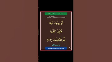 سورة الطور - سورة 52 - اية 42