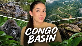 ASMR Deep Dive - Why You Should Fear the Congo Basin screenshot 4