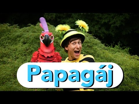 Video: Ako Nakresliť Zvlneného Papagája