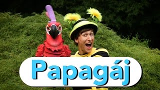 Video thumbnail of "Smejko a Tanculienka - Papagáj"