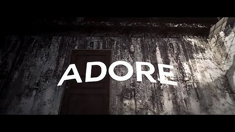 Adore - A Multi-CoD Dualtage feat. PYR0 HUNTER