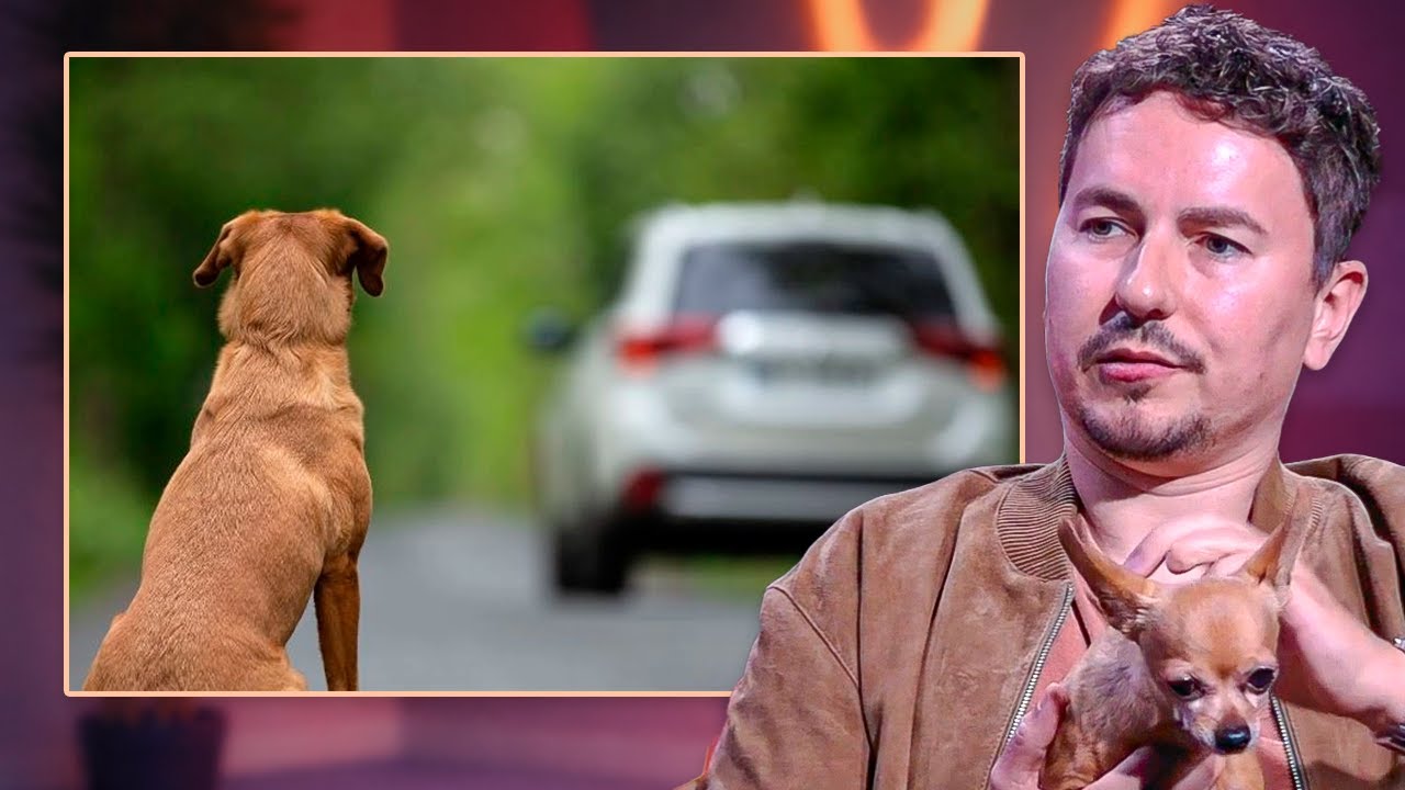 El PROBLEMA que NADIE quiere ver: el ABANDONO ANIMAL