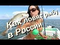 Как ловят рыбу в России? | How to fish in Russia?