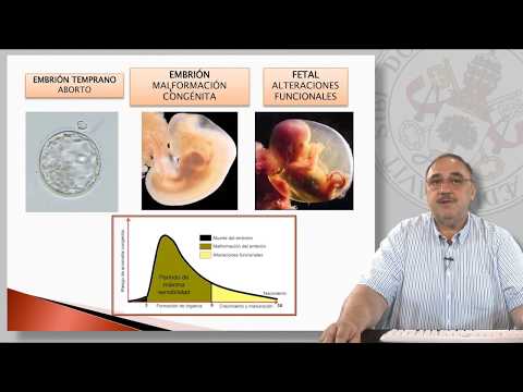 Vídeo: Las Razones Del Desarrollo De Anomalías Congénitas O Factores Teratogénicos