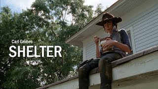 (The Walking Dead) Carl Grimes || Shelter