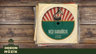 Neşe Karaböcek - Alaasfuriye - Ah Şu Dünya (45Lik) Resimi